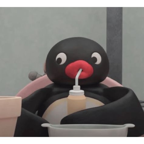 Pingu Pingu, Noot Noot, Spotify Covers, Make Your Own Stickers, Playlist Covers, Reaction Memes, Reaction Pics, Profile Pics, Reaction Pictures