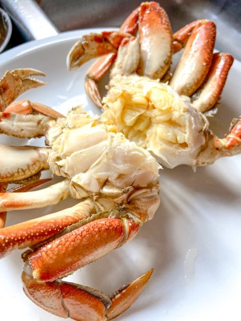 Boiled Crab Recipes, How To Cook Fresh Crab, How To Cook Whole Crab, Steamed Crabs Recipe, How To Cook Dungeness Crab, Dungeness Crab Recipes Boil, Dungenous Crab Recipes, How To Cook Crab, Crab Legs How To Cook