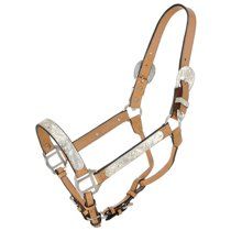 King Horse, Horse Halter, Show Horse, Western Horse Tack, Horse Equipment, Royal King, Western Saddle, Silver Bar, Equestrian Outfits