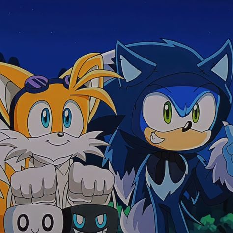 Tails Sonic, Sonic Heroes, Sonic Funny, Blue Hedgehog, Sonic Franchise, Sonic 3, Hedgehog Art, Sonic Adventure, Sonic And Shadow