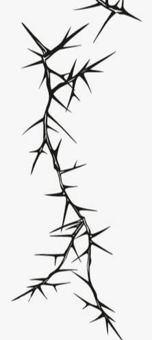 Thorn Border Design, Thorns And Leaves Tattoo, Thorn Branch Tattoo, Thorn Neck Tattoo, Thorn Illustration, Zweig Tattoo, Asymmetrical Tattoo, Thorns Tattoo Design, Thorn Vines