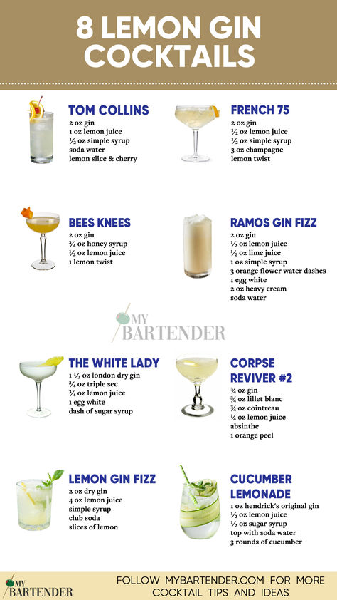 Lemon Gin Cocktails Lemon Gin Cocktail, Lemon Cocktail Recipes, Easy Gin Cocktails, Best Gin Cocktails, Frozen Drinks Alcohol, Gin Fizz Cocktail, Bartender Drinks Recipes, Gin Martini, Cocktail Shots