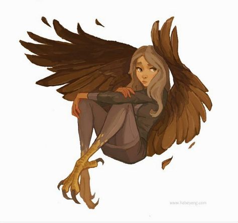 Winged People, Bird People, Hybrid Art, Bird Girl, Humanoid Creatures, Wow Art, Human Art, Cool Art Drawings, Creature Design