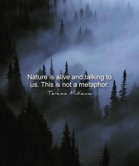 Wake Up Now, Terence Mckenna, Wanderlust Quotes, Wanderlust Photography, Hippie Life, Word Of Mouth, Nature Quotes, Spiritual Journey, Consciousness