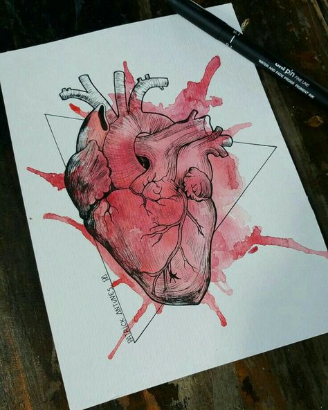 Heart Drawing Watercolor, Heart Watercolor Painting, Heart Drawing Ideas, Romantic Sketches, Anatomical Heart Drawing, Red Draw, Anatomical Heart Art, Heart Geometric, Heart Watercolor