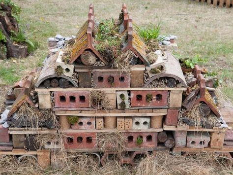 Many beneficial garden insects, such as ladybugs and ground beetles, struggle to find habitats in our neat gardens. Consider creating an attractive wildlife wall to lure them in and keep them happy. Bug Hotel, Insect Hotel, Garden Insects, Wildlife Gardening, Have Inspiration, Old Bricks, Organic Gardening Tips, Roof Panels, Unique Gardens