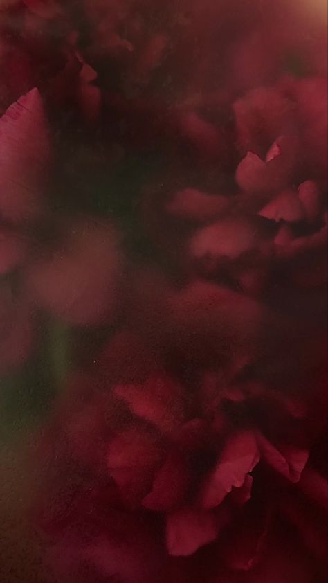 Background Flowers, Dark Red Wallpaper, Floral Wallpaper Iphone, Flowers Background, Simple Phone Wallpapers, Phone Wallpaper Patterns, Minimalist Wallpaper, Red Wallpaper, Pretty Wallpapers Backgrounds