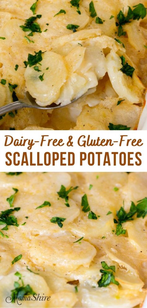 Creamy and comforting dairy-free scalloped potatoes are baked in a delicious white sauce that's full of flavor with onions, garlic & broth. And they're gluten-free! #dairyfreerecipes #glutenfreerecipes #glutenfreedairyfree #potatoes Gluten Free Dairy Free Recipes Dinner Easy, Easter Dinner Ideas Gluten And Dairy Free, Gluten And Dairy Free Recipes For Lunch, Vegan Non Dairy Recipes, Processed Free Meals, Dairy Free Soy Free Recipes Dinner, Light Gluten Free Dinner, Dinner Ideas Gluten Free Dairy Free, Easy Gluten And Dairy Free Meals