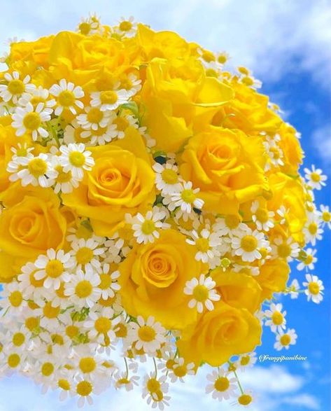 Yellow Rose Bouquet, Top Flowers, Yellow Rose Flower, Best Roses, Pineapple Wallpaper, Luxury Flower Bouquets, Good Morning Flowers Pictures, Cute Flower Wallpapers, Beautiful Flowers Garden