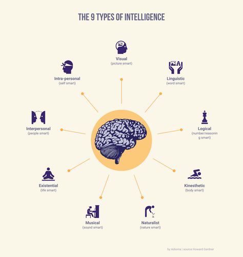 What Is Intelligence, Improve Brain Power, Multiple Intelligence, Multiple Intelligences, Social Intelligence, Types Of Intelligence, Short Clip, How To Create Infographics, Make An Infographic