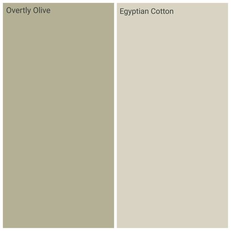 Dulux overtly olive and egyptian cotton, kichen family room! Dulux Overtly Olive, Overtly Olive, Olive Living Rooms, Olive Bedroom, Hallway Colours, Green Living Room, Dulux Paint, Renovation Inspiration, Green Walls