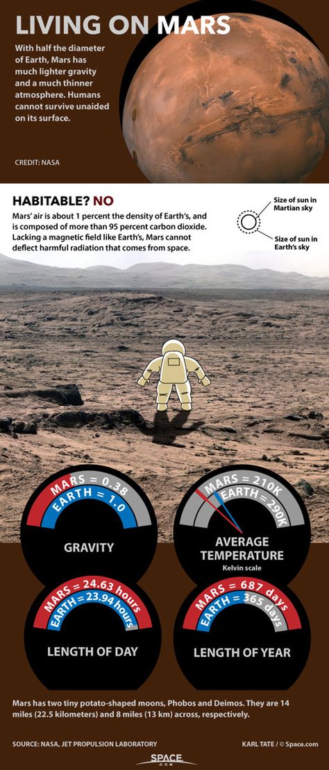 How Living on Mars Could Challenge Colonists (Infographic) Living On Mars, Mars Facts, Mars Surface, Planets And Moons, Space Facts, The Planets, Space Program, Earth From Space, Space Nasa