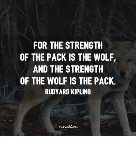 Rudyard Kipling Quotes, Wolf Pack Quotes, Inspirational Animal Quotes, Lone Wolf Quotes, See Things Differently, Tattoo Wolf, Discover Quotes, Wolf Quotes, Wolf Spirit Animal