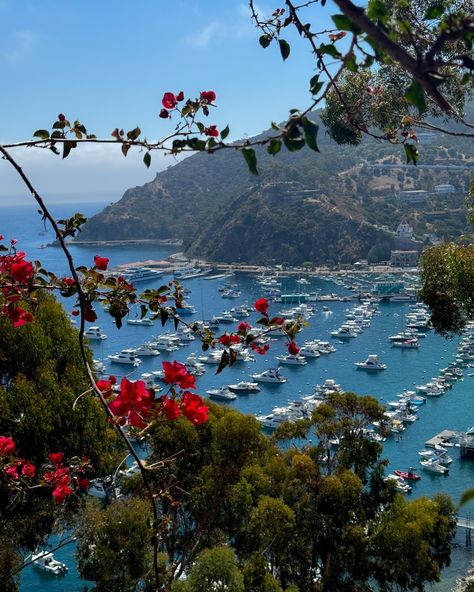 Post cards from Catalina Island 🤍 With the temperatures in California continuing to soar into the 90s in many areas, I declare that summer isn’t over yet! Catalina island is probably perfect right now. Catalina Island is the Europe of California, with its light colored buildings and coastal mountain landscape. To top it all off, when it was first developed for tourism in the 1920s, they established a tile factory to create custom European inspired tiles for the island. You can only get to... Catalina Island Aesthetic, Catalina Island, Bright Future, Post Cards, Mountain Landscape, Spring Break, Us Travel, Vision Board, Tourism