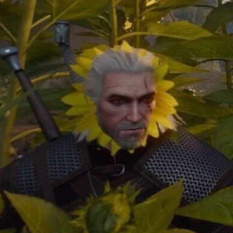 Witcher Art, Witcher 3 Wild Hunt, Geralt Of Rivia, Witcher 3, Wild Hunt, The Witcher 3, Henry Cavill, The Witcher, Reaction Pics