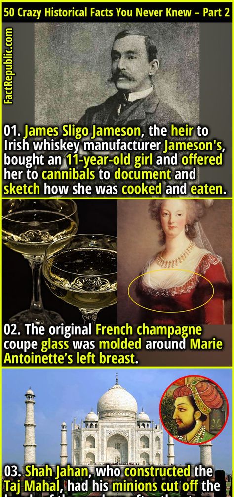 Johan de Witt was a Dutch Prime Minister who became so unpopular during his reign that a bunch of rioters lynched and partially ate him in 1672. They were never prosecuted. Mind Blowing Thoughts, Weird History Facts, Creepy History, Fun Facts Mind Blown, Fact Republic, The Heir, Bizarre Facts, History Facts Interesting, Irish History