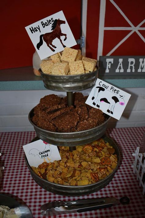 Rodeo Party Theme Ideas, Rodeo Themed Snacks Food Ideas, Western Party Finger Food, My First Rodeo Snack Ideas, Cowboy Birthday Party Food Ideas, Western Rodeo First Birthday, Cowboy 1st Birthday Party Ideas, First Rodeo Food Table, Rodeo Theme Second Birthday