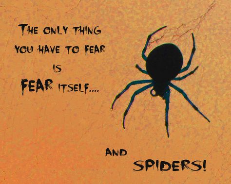 Halloween quote about fear and spiders. Spider Quotes Inspirational, Spider Quotes, Horror Quotes, Halloween Crafts Preschool, Fear Quotes, About Halloween, Nothing To Fear, Halloween Quotes, Inspirational Sayings