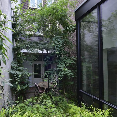 Small, dark garden? Get inspired by this shady city space, transformed with clever design and smart planting — Gardens Illustrated Garden Shadow, Gardens Illustrated, Dark Garden, City Garden, Clever Design, Shade Garden, Bristol, Planting, Garden Plants