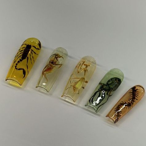 Spooky Nail Inspiration, Hand Painted Nail Art Design, Scorpion Nails Designs, Insect Nail Art, Scorpion Nails, Preserved Insects, Insect Nails, Spooky Nail Art, Hand Painted Nails