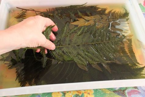 Preserving leaves to use in printing with sun paints, MX Dyes and fabric paint. This quick method will keep them green Preserving Leaves, Green Wall Garden, Landscape Bricks, Sun Printing, Leaf Print Art, Preserve Flowers, Produce Stand, Moss Decor, Pressed Flower Crafts