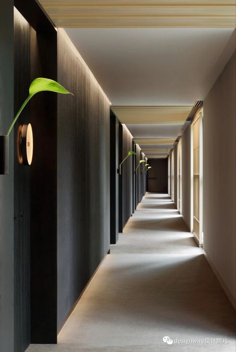 Apartment Corridor Design, Apartment Entry Door, Hotel Corridor Design, Apartment Corridor, Restaurant Lighting Design, Apartment Lobby, Elevator Lobby, Hotel Corridor, Corridor Design