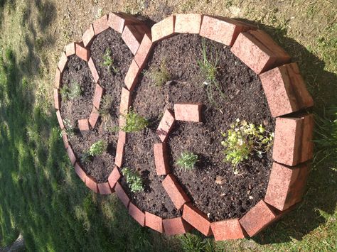 Spiral Garden, Brick Garden, Plants Growing, Garden Yard Ideas, Garden Bed, Veggie Garden, Lawn And Garden, Rock Garden, Backyard Landscaping Designs