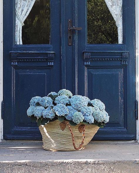 Imagine if a beautiful basket of blue hydrangeas landed at your door   Well it may be winter in Australia but in Norway the hydrangeas are blooming and have landed at the door of @ranli_   I head back to Europe Sunday night but sadly Norways not on my itinerary but its definitely on the bucket list.     #hydrangeas #hydrangealove #hydrangeasaremyfavourite #hydrangealanehome #hydrangea #hydrangeagarden #hydrangeaseason #bluehydrangea #bluedoor #bluedoors #navyblue #marketbasket #strawbasket #trav Hydrangea Cottage, Blue Aura, Flower Therapy, Blue Door, Blue Hydrangea, Feeling Blue, My New Room, Blue Aesthetic, Summer Aesthetic