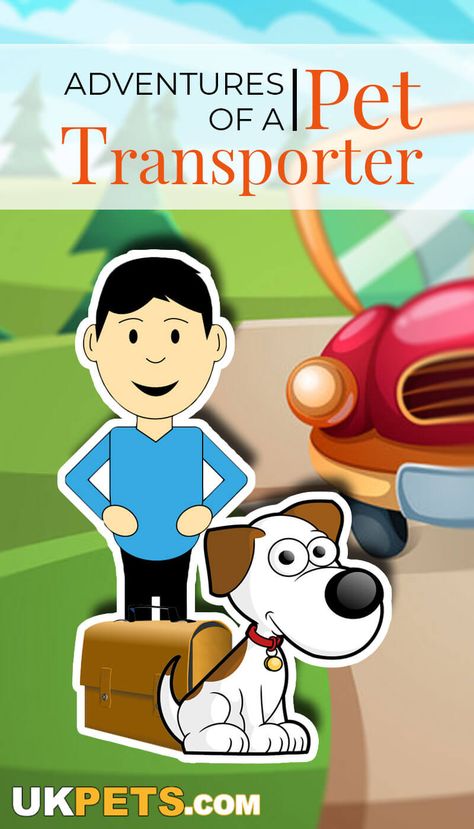 The insistent pull of wanderlust coupled with her deep adoration for animals paved Merebeth Veit’s way to becoming a pet transporter. #pet #transporter #animal Dogs And Puppies, Pet Transport, Pet Sitting, Canine Companions, Practical Advice, Big Heart, Pet Travel, Dog Owners, Affirmations