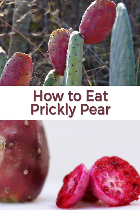 Do you like trying and tasting new fruits? Try the prickly pear cactus fruit the next time you get the chance. In this blog post I talk about how to eat prickly pear cactus fruit, where they come from and where they grow, and what they taste like. Such a cool fruit that grows in some of the harshest climates. How To Cook Prickly Pear Cactus, Prickly Pear Fruit Recipes, How To Cook Cactus, Cactus Pear Recipe, Cactus Fruit Recipe, Prickly Pear Cactus Recipes, Prickly Pear Syrup Recipe, Cactus Recipes, Pear Lemonade