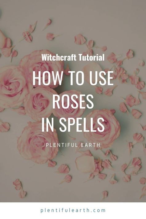 Rose Magical Properties | How to Use Roses in Spells » Plentiful Earth Rose Petal Witchcraft, Rose Petal Magic, Rose Water Witchcraft Uses, Dried Rose Petals Witchcraft, Rose Petal Spells, Rose Petal Uses Witchcraft, Spells With Rose Petals, Rose Spells, Rose Petals Magical Properties