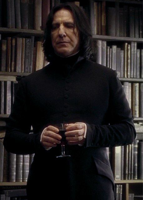 HP and the Half-Blood Prince Alternative Universe, Gellert Grindelwald, Severus Snape, Love Story, Prince, Universe, Tumblr