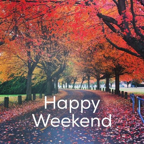 Happy Saturday! I hope you have a perfect weekend!! #newday #happyweekend #enjoy #perfectday #goodlife #thesimplethings #saturdaylove #happysaturday #lovelyday #awesome #peace #blessings #live #laugh #love #fall #FirstWeekendOfFall Happy Weekend Pictures, Happy Saturday Quotes, Weekend Images, Saturday Quotes, Good Morning Saturday, Happy Weekend Quotes, Good Day Sunshine, Happy Week End, Weekend Quotes