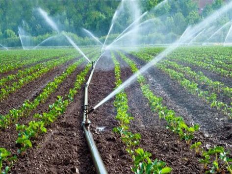 Irrigation Methods, Agriculture Business, Sprinkler Irrigation, Sustainable Farming, Drip Irrigation, Water Resources, Irrigation System, Water Supply, Land Scape