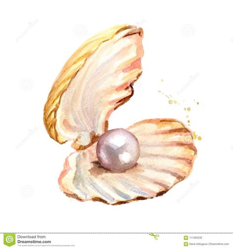 Oyster With Pearl, Shell Drawing, Pearl Paint, Free Vector Graphics, Sketchbook Art Inspiration, Watercolor Cards, Free Vector Art, Art Plastique, Watercolor Illustration