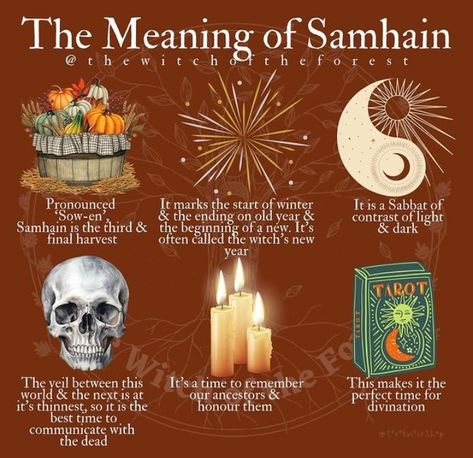 Samhain Traditions, Aries Energy, My 40th Birthday, The Wheel Of The Year, Charmed Book Of Shadows, Nature Witch, Moon Astrology, Traditional Witchcraft, Start Of Winter