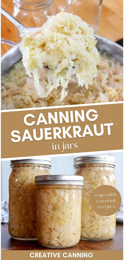 Start canning sauerkraut in jars, and preserve the authentic flavors of fermented foods. This vegetable canning recipe for canning sauerkraut walks you through every step of canning homemade sauerkraut, from fermentation to water bath canning, ensuring a tangy treat all year round. Canning Sauerkraut Without Fermentation, Canning Sauerkraut Recipes Mason Jars, Saurkraut Recipes Canning, Homemade Sauerkraut In A Crock, Refrigerator Sauerkraut, Canning Kraut In Jars, Sourkrout Recipes Canning, How To Can Sauerkraut, Canning Sauerkraut Recipes