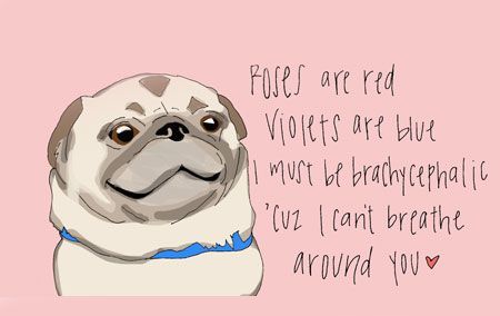 Roses are red, violets are blue, here are some valentines written especially for you. Veterinary Technician Humor, Veterinary Memes, Veterinary Medicine Humor, Vet Tech Quotes, Veterinary Humor, Vet Tech Humor, Vet Tech School, Veterinary Tech, Vet Medicine