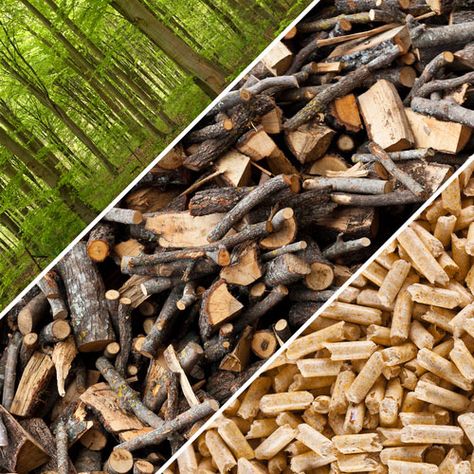 Fuel Energy, Biomass Boiler, Biomass Energy, Green Transportation, Wood Pellet Stoves, Grill Time, Wood Waste, Wood Pellet, Solar Energy Panels