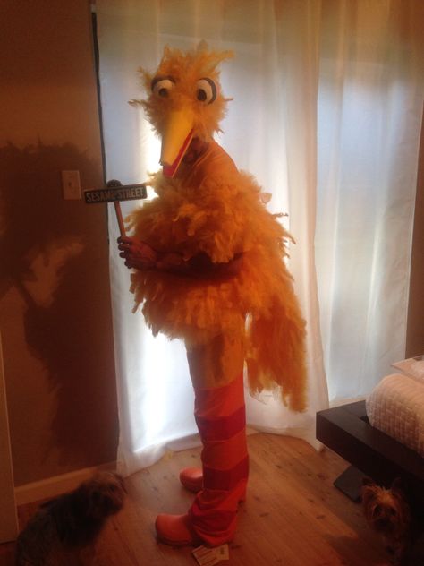 Big Bird Costume Big Bird Costume, Bird Costume, Bird Shirt, Big Bird, Fun Diys, Halloween Costumes, Halloween