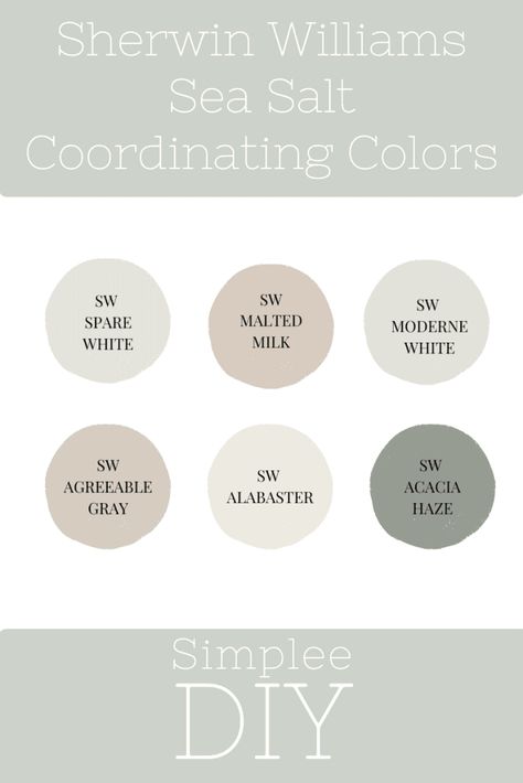 Discover everything you need to know about Sherwin Williams Sea Salt! From its soothing undertones and versatile uses to how it looks in different lighting, learn why this popular paint color is a favorite for home interiors. Wherein Williams Sea Salt, Sherwin Williams Retreat Color Scheme, Living Room Color Scheme Ideas Cozy, Sea Salt Sherwin Williams Bathroom, Sw Sea Salt Color Palette, Sea Salt Sherwin Williams Bedroom, Sea Salt Coordinating Colors, Sea Salt Color Palette, Cape Addition