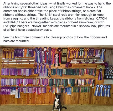 Dog Agility Ribbon Display, Dog Ribbon Display, Dog Ribbon Display Ideas, Horse Ribbon Display, Dog Ribbon, Horse Ribbons, Ribbon Display, Horse Memes, Award Display