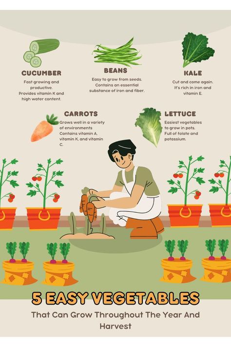 Are you a gardening enthusiast looking to add some fresh, homegrown goodness to your plate? Well, look no further! We've compiled a list of five easy-to-grow vegetables that will keep your garden thriving all year round. Whether you're a seasoned gardener or just starting out, these veggies are sure to bring joy and satisfaction to your green thumb adventures. Easy Veggies, Easy Vegetables To Grow, Album Art Design, Garden Guide, Vitamin K, High Water, Fast Growing, Green Thumb, Vitamin E