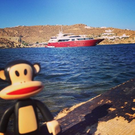 Julius and @daskruegs catching some rays in Mykanos! #ItsaPFWorld Just Girly Things, Paul Frank Aesthetic, Paul Frank Monkey, Playlist Covers Photos, 2013 Swag Era, Paul Frank, Silly Pictures, Cute Icons, Not Mine