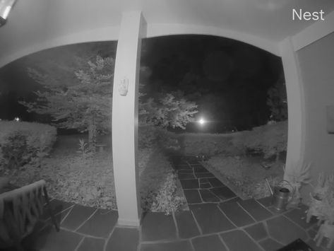 This walked by my doorbell camera last night at 11pm. Im in Michigan. Any idea what kind of animal this may be? Camera Doorbell, Front Door Camera, Horror Inspiration, Door Camera, Dead Ringers, Halloween Pics, Bead Soup, Tank Stand, Security Cam