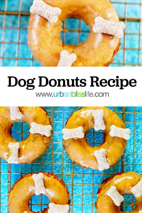 Dog Donuts Recipe, Easy To Make Dog Treats, Blueberry Dog Treats, Homemade Peanut Butter Dog Treats, Make Dog Treats, Dragon Noodles, Donut Calories, Asian Beef, Peanut Butter Dog Treats