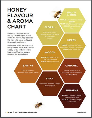 Host your own honey tasting - Flow Hive - Flow Forum Mead Wine Recipes, Honey Tasting, Small Orchard, Honey Bees Keeping, Flow Hive, Bee Stuff, Buzzy Bee, Backyard Beekeeping, Honey Bee Hives