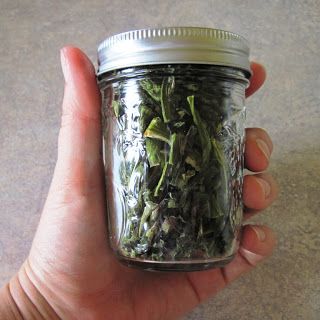 Preserving Asparagus Three Ways - Freezing, Drying, Lacto-Fermenting How To Store Asparagus, Dehydrating Food Storage, Food Prep Storage, Asparagus Recipes, Food Dehydrator, How To Cook Asparagus, Long Term Storage, Electric Foods, Freeze Drying Food