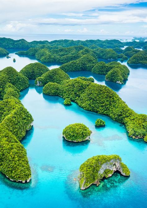 70 islands in Palau. Really want to dive in Palau someday!! Vanuatu, Koror Palau, Palau Island, Kat Diy, Oceania Travel, Exotic Places, Palau, Island Life, Beautiful Islands