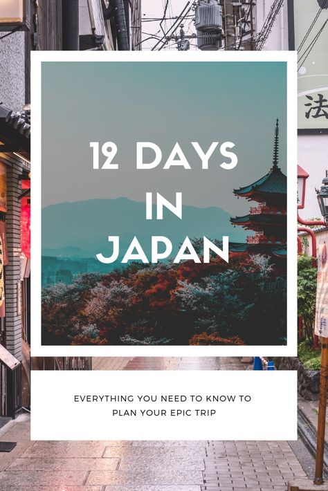 12 epic days in Japan that includes Osaka, Nara, Kyoto, Hiroshima, Miyajima, Tokyo & Hakone. This detailed itinerary contains the full day-by-day breakdown and also additional tips & tricks that you definitely need to know before you go. #visitjapan #japan #tripplanning 12 Day Japan Itinerary, 12 Days In Japan, Hiroshima Miyajima, Thailand Packing List, Thailand Packing, Europe Packing List, Hiroshima Japan, Japan Itinerary, Japan Travel Guide